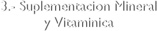 3.- Suplementacion Mineral  y Vitaminica